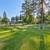 Almost ONE ACRE in Bayview, Idaho! Buildable lot 3 thumbnail