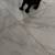 Kittens 2 thumbnail