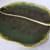 Large Ceramic Palm Leaf - Use as Wall Decor or Dish (Food Safe) 1 thumbnail