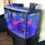 Bow Fish Tank 7 thumbnail
