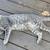 Barn Kittens 2 thumbnail