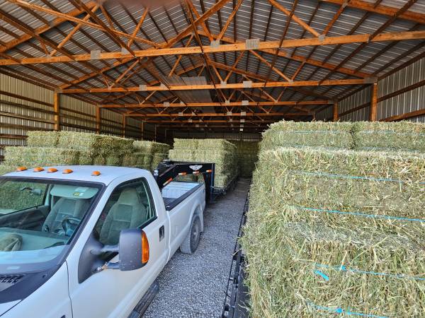 1st cutting small square alfalfa 1