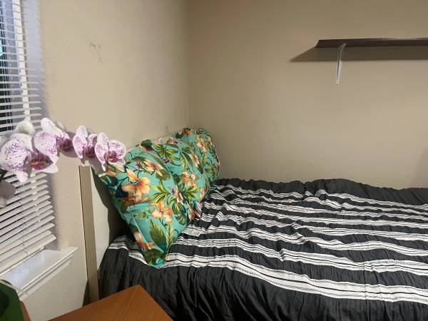 $825 / 5br - 120ft2 - Habitación de gran tamaño, totalmente amueblada $825/mes (richmond / point / annex)63873329388163121