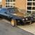 1981 Pontiac Firebird Trans Am Turbo Bandit Edition Coupe SKU:AA1059 3 thumbnail