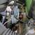 Kawasaki kfx80 2004 4 thumbnail