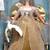Mattel-Angelic Inspirations Barbie Doll - Special Edition- New In Box (NIB) Vint 8 thumbnail