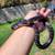 Drymarchon Rubidus Indigo Snakes (female) 17 thumbnail