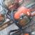 Chainsaw Stihl Husqvarna Echo 11 thumbnail