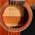 Parlor size 2009 ALVAREZ RF300 Plus Case 2 thumbnail