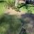 Stump Grinding 6 thumbnail