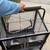 Bird Cage 3 thumbnail