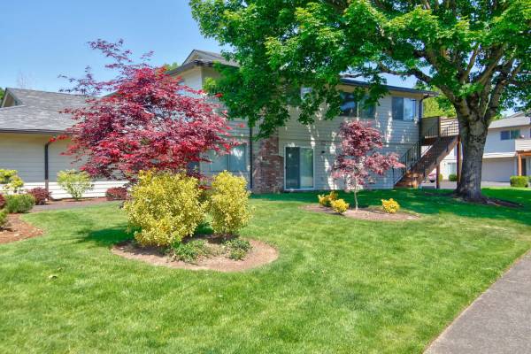 $1,503 / 2br - 809ft2 - Ventilador de techo, Patio o balcón, Revestimiento de azulejos (Gresham)63820824547329123