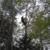 TOTAL PRO TREE SERVICE 1 thumbnail