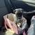 Pug 1 thumbnail