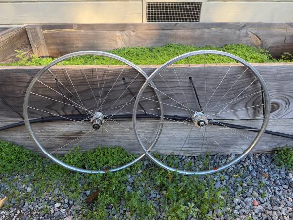 Pacenti Brevet Dynamo Hub Wheelset 700c 1