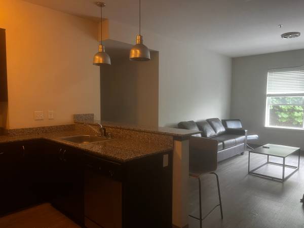 Apartment lease takeover 1
