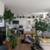 1b/1b corner unit w great amenities w Boho Vibes-in Roscoe Village 6 thumbnail