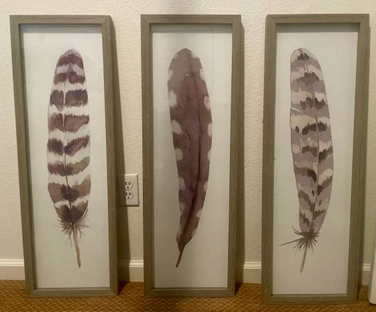 framed feather art triptych pictures 1