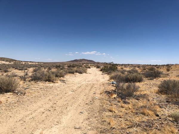1 Land For Sale* 120 Acres* Seller May Carry 1