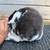 Mini Rex 5 thumbnail