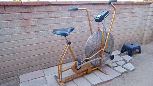 Schwinn Air-Dyne Stationary Bike 1