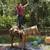 Palomino Quarter Horse Mare 8 thumbnail