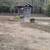 2 bedroom cabin on 8 wooded acres 6 thumbnail
