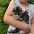 Barn kittens 2 thumbnail