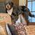 Goldendoodles 11 thumbnail