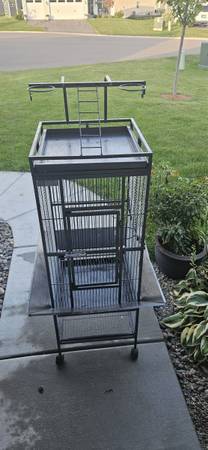 Conures (Rogers)64001741115011123