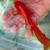 Fancey Goldfish 3 thumbnail
