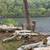 tree removal & landscaping 20 thumbnail