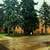 NEWLY RENOVATED 2 BED AVAILABLE 11/1 ONLY $950!!!!!! 15 thumbnail