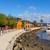 2 WEEKS FREE!!! Charming One Bedroom In Point Loma/Shelter Island! 13 thumbnail