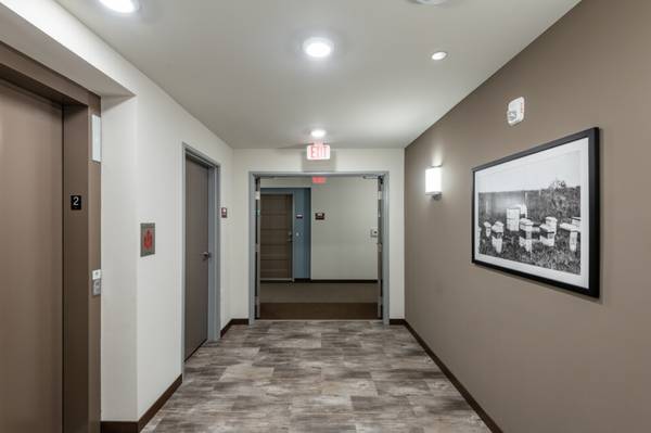 $1,025 / 2hab - en Brillion WI, 2/BD, Se aceptan gatos y perros63845965285633121
