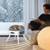 homerunPET Pet-Friendly Space Heater PH20 2 thumbnail