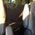 2010 Kia Sedona LX 9 thumbnail