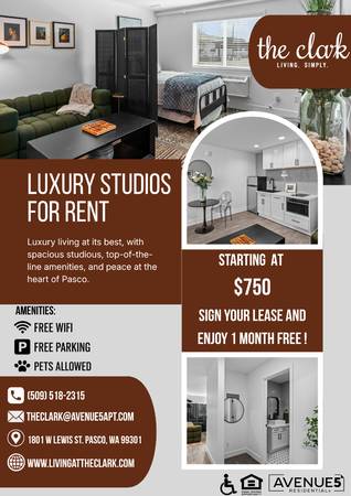 Experience Elevated Studio Living at The Clark 1