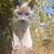 Friendly Mousers 2 thumbnail