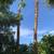 Tree & palm services, yard clean ups, artificial grass & pavers 19 thumbnail