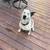 Cute happy sweet girl needs a home 1 thumbnail