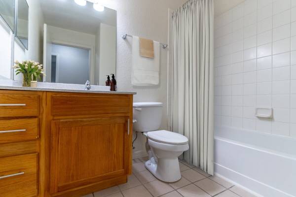 $1,125 / 1br - 718ft2 - Connect, Thrive, and Live Well (Spring Hill)63991084176259124