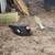 Muscovey Ducks 1 thumbnail
