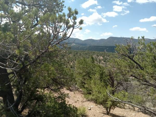 $18,000 / 5ft2 - Mountain Lot for Sale – 5+ Acres in Costilla County (Costilla)63659798354307123