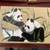 Asian Pandas Embroidered Silk in Curved Glass + Wood Holder +2 Photos 7 thumbnail