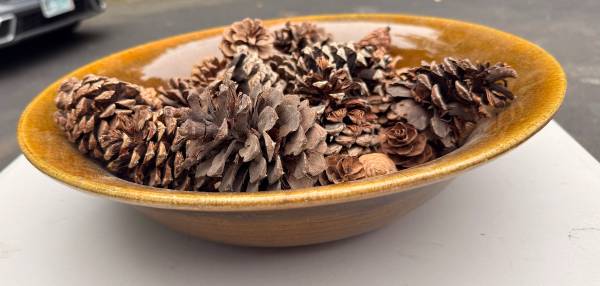Large 17” Decorative Ceramic Bowl With Pinecones 1