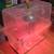 Custom Build Very Large Size Chicks Brooder 38.5''L x 32.5''H x 21.5'' 7 thumbnail