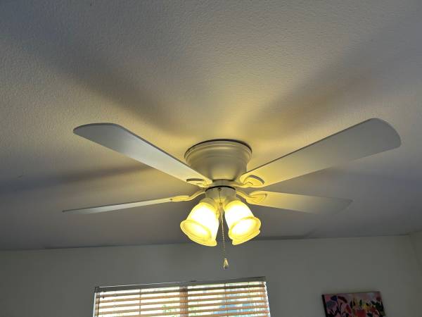 Ceiling fan 1