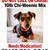 MISSING DOG - 10LB CHI-WEENIE MIX 3 thumbnail
