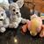 Lot of 6 various Disney LADY AND THE TRAMP plush stuffed animals 3 thumbnail